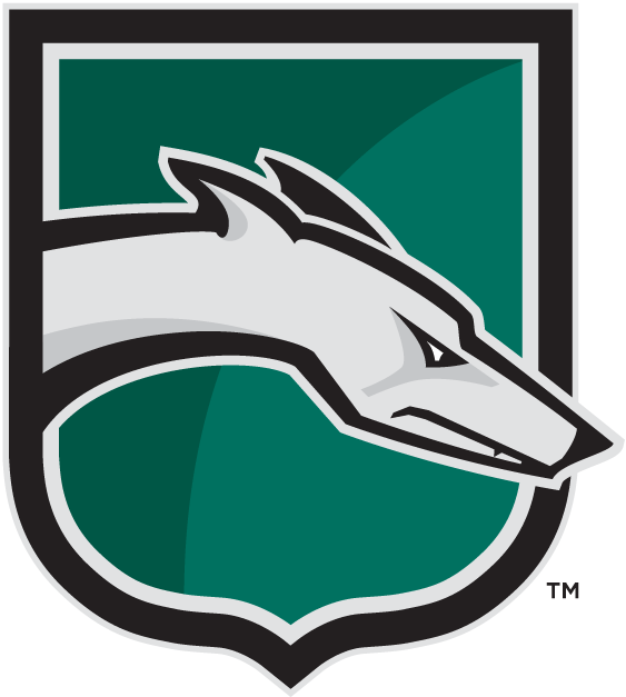Loyola-Maryland Greyhounds 2002-Pres Alternate Logo DIY iron on transfer (heat transfer)